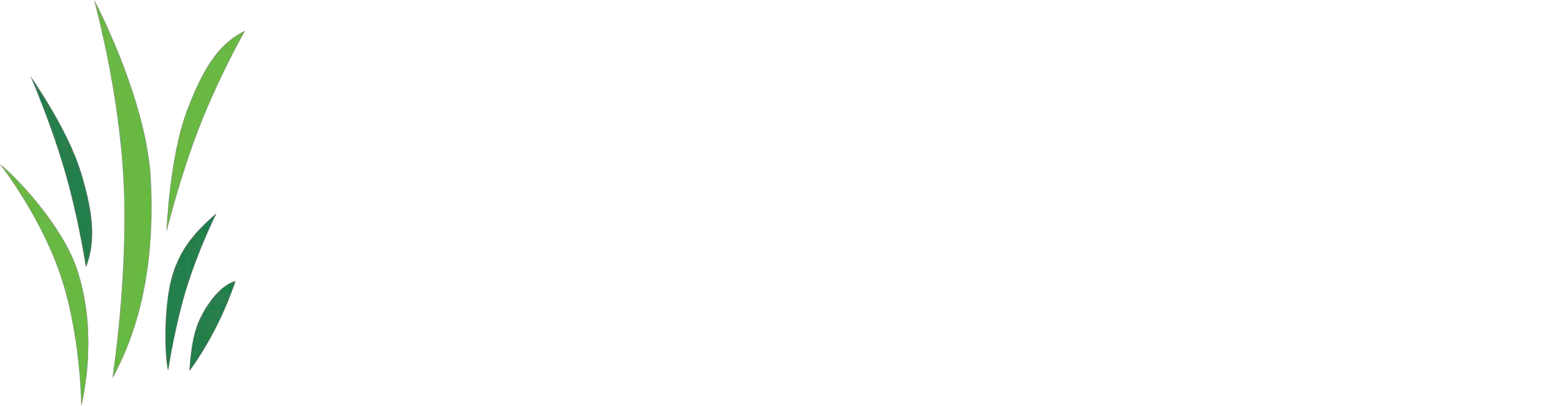 Grupo CR